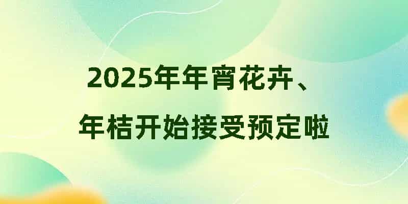 2025年年宵花卉、年桔开始接受预定啦