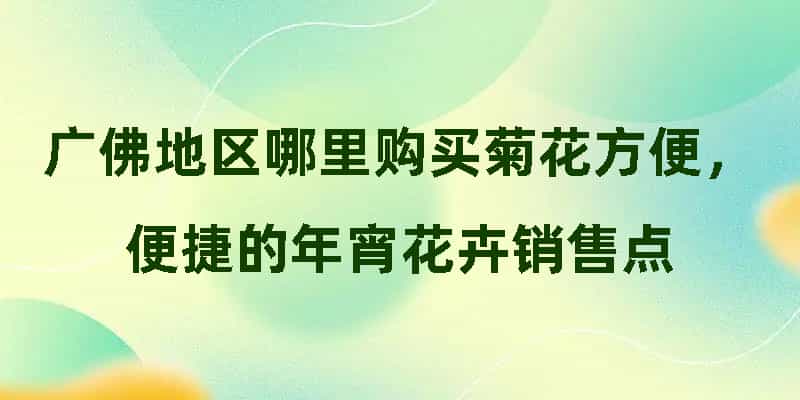 广佛地区哪里购买菊花方便，便捷的年宵花卉销售点